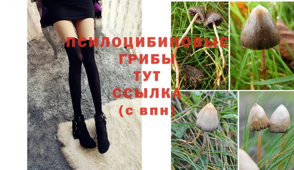 метамфетамин Ельня