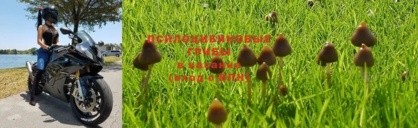 эйфоретик Елизово