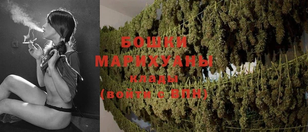 дживик Елабуга