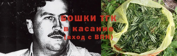 дживик Елабуга