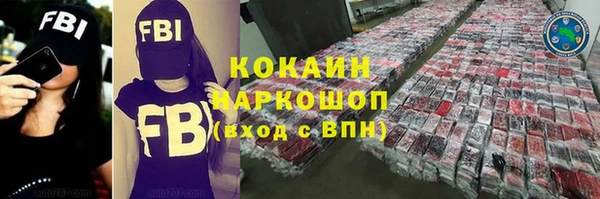 дживик Елабуга