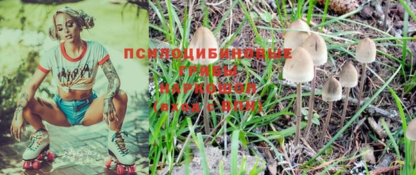 эйфоретик Елизово