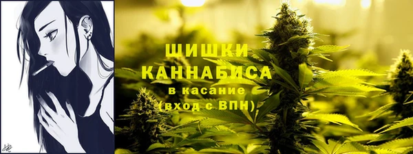 дживик Елабуга