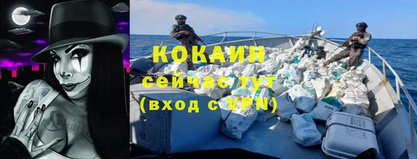 дживик Елабуга